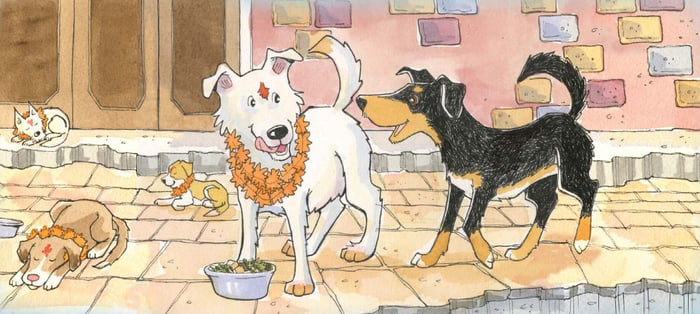 Adventures of a Kathmandu street dog