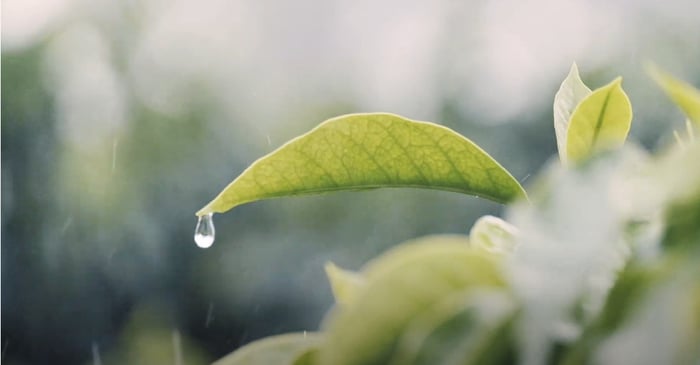 Environment films get tve Award