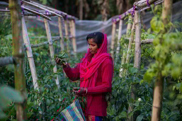 Climate smart Ramkali Mahato