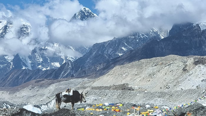 Letters from Base Camp 2