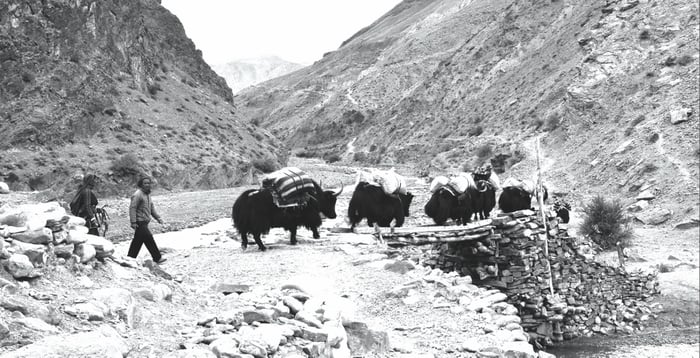 The salt of the earth