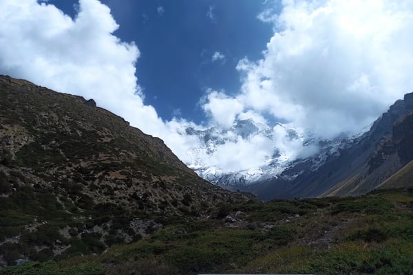 Giving yarsagumba a chance for regrowth
