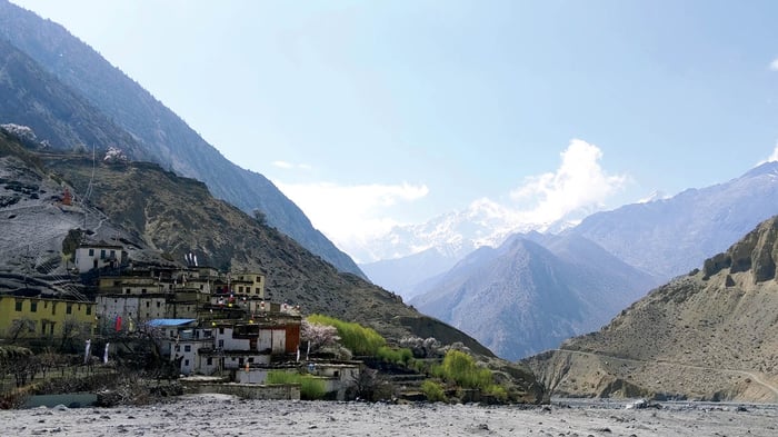 Mustang forced to adapt to climate crisis