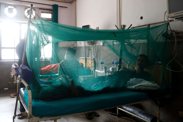 As Covid abates, Nepal sees dengue outbreak