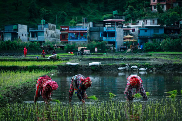 Securing Nepal’s fertiliser future