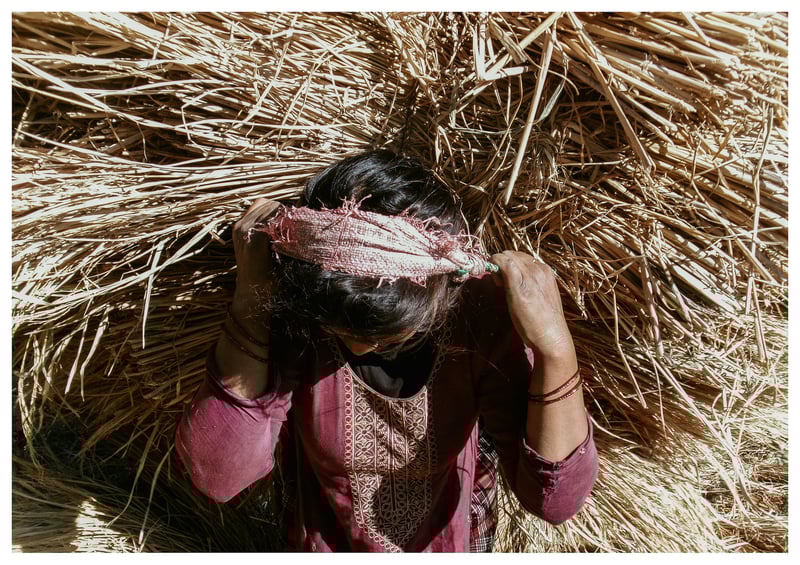 A woman from my village carrying hay on her back since it is harvesting season. Birendra, 13